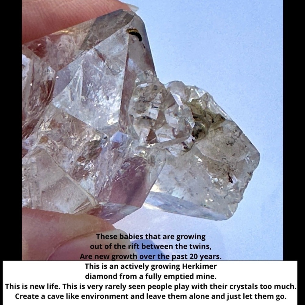 Lg Herkimer diamond twin multiple DT rainbow Rutilated recordkeeper self healing